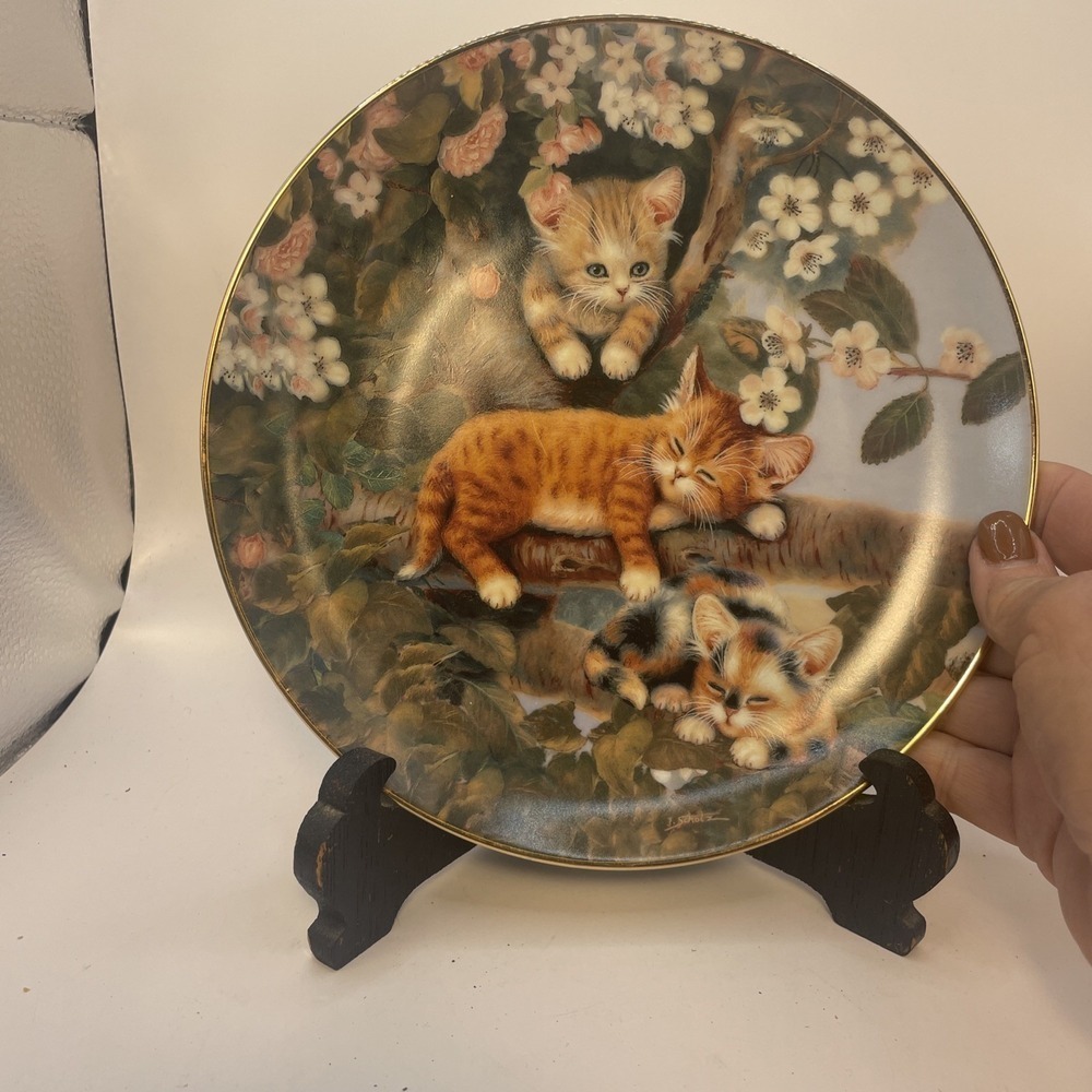Frisky Felines Out In A Limb Cat‎ Kitty Jurgen Scholz 4 Curious Kittens